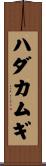 ハダカムギ Scroll
