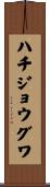 ハチジョウグワ Scroll