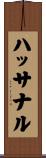 ハッサナル Scroll
