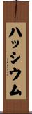 ハッシウム Scroll