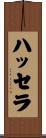 ハッセラ Scroll
