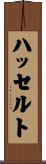 ハッセルト Scroll