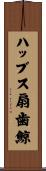 ハッブス扇歯鯨 Scroll