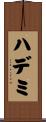 ハデミ Scroll