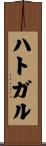 ハトガル Scroll