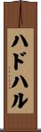 ハドハル Scroll