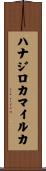 ハナジロカマイルカ Scroll