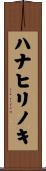 ハナヒリノキ Scroll