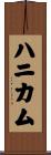 ハニカム Scroll