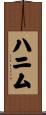 ハニム Scroll