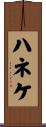 ハネケ Scroll