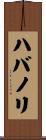 ハバノリ Scroll