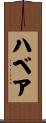 ハベア Scroll