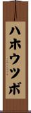 ハホウツボ Scroll