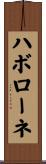 ハボローネ Scroll