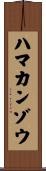 ハマカンゾウ Scroll
