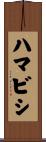 ハマビシ Scroll