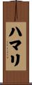 ハマリ Scroll