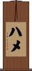 ハメ Scroll