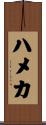 ハメカ Scroll