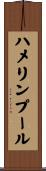 ハメリンプール Scroll