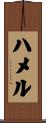Hammel Scroll