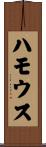 ハモウス Scroll