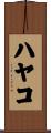 ハヤコ Scroll