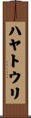 ハヤトウリ Scroll