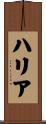 ハリア Scroll