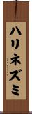 ハリネズミ Scroll