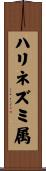 ハリネズミ属 Scroll