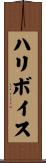 ハリボイス Scroll
