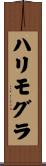 ハリモグラ Scroll