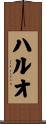 ハルオ Scroll
