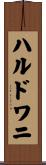 ハルドワニ Scroll
