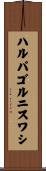 ハルパゴルニスワシ Scroll