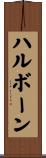 ハルボーン Scroll