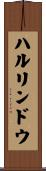 ハルリンドウ Scroll