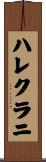 ハレクラニ Scroll