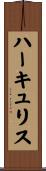 ハーキュリス Scroll