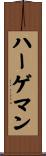 ハーゲマン Scroll