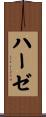 Haase Scroll