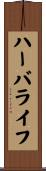 ハーバライフ Scroll
