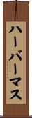 ハーバーマス Scroll