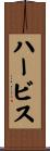 ハービス Scroll