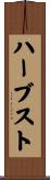 Herbst Scroll
