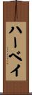 ハーベイ Scroll