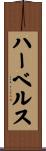 ハーベルス Scroll