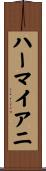 ハーマイアニ Scroll